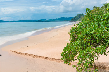 Similar image 13295276