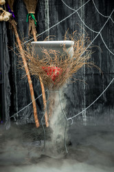 Similar image 13295275