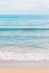 Similar image 13295265