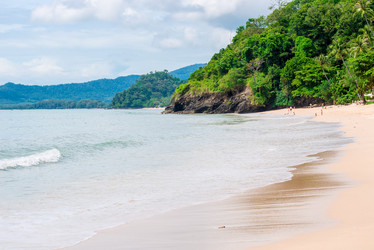 Similar image 13295266