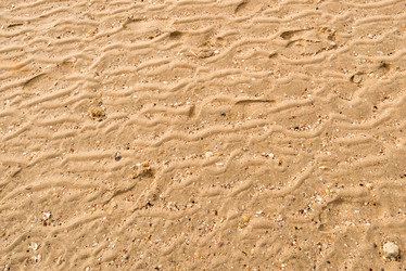 Similar image 13295267