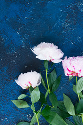 Similar image 13300273