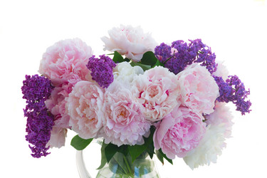 Similar image 13300266