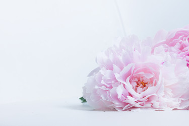 Similar image 13300274