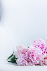 Similar image 13300183