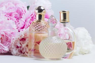 Similar image 13300202