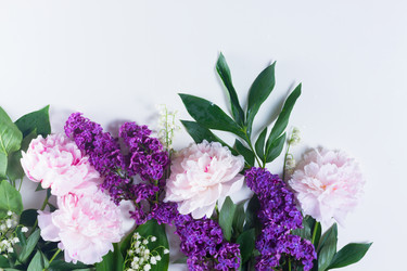 Similar image 13300216