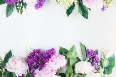 Similar image 13300217