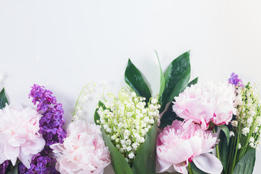 Similar image 13300218