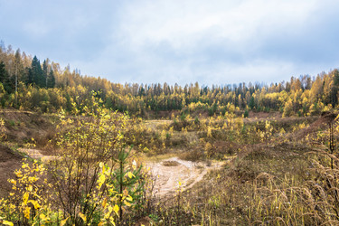 Similar image 13316088