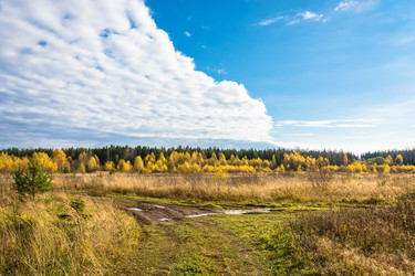 Similar image 13316445