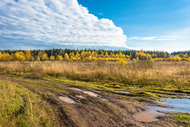 Similar image 13316448