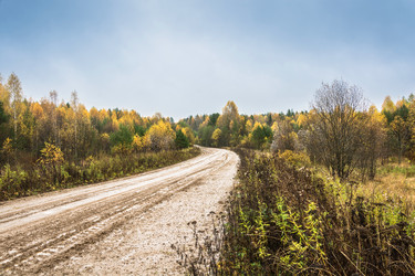 Similar image 13316465