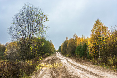 Similar image 13316469