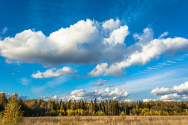 Similar image 13316458