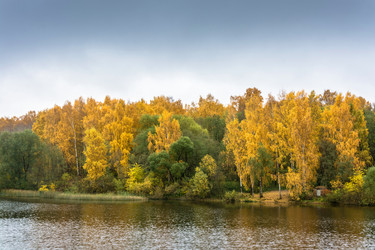 Similar image 13316471