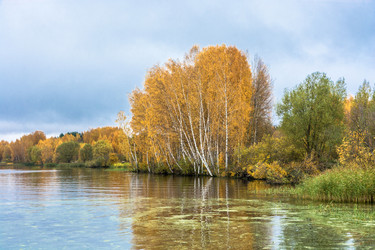 Similar image 13316486