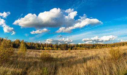 Similar image 13316490