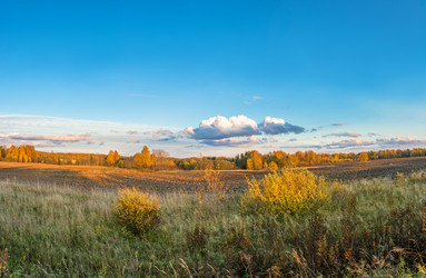 Similar image 13316492