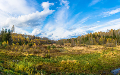 Similar image 13316497