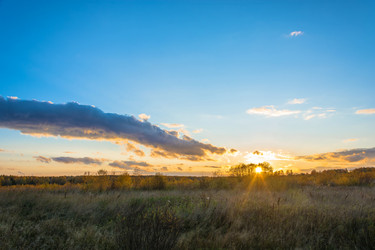 Similar image 13316498