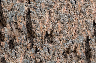 Similar image 13323394