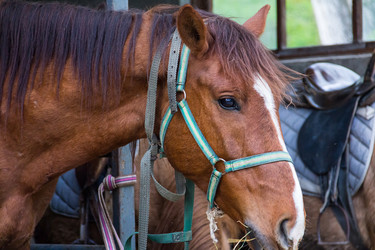 Similar image 13323397