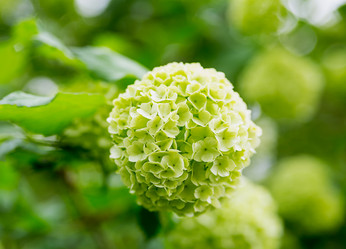 Similar image 13323370