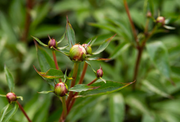 Similar image 13305875