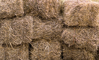 Similar image 13305913