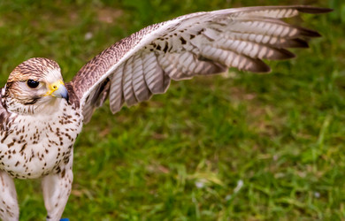 Similar image 13305916