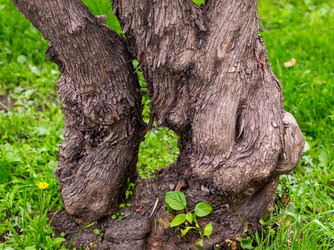 Similar image 13323406