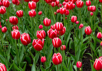 Similar image 13305919