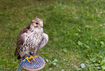 Similar image 13299569