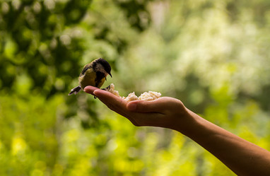 Similar image 13295190