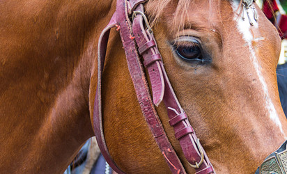 Similar image 13295141