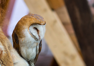 Similar image 13295145