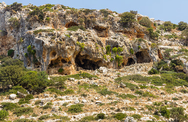 Similar image 13295163