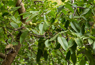 Similar image 13309120