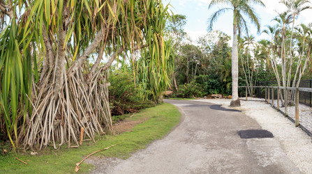 Similar image 13308756