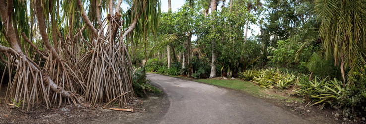 Similar image 13308739