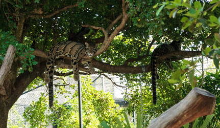 Similar image 13308745