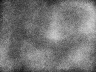 Similar image 13291765