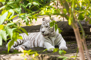 Similar image 13291827