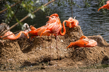 Similar image 13291830