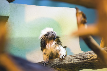 Similar image 13291832