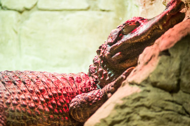 Similar image 13291835