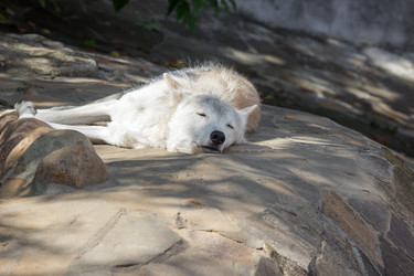 Similar image 13291836