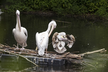 Similar image 13291838