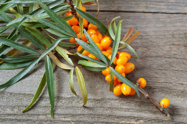 Similar image 13294220